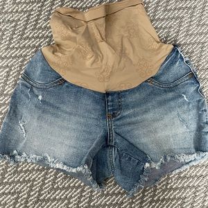Maternity Shorts